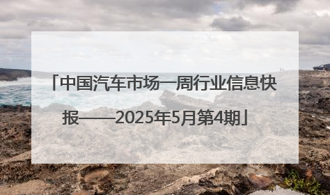 中国汽车市场一周行业信息快报——2025年5月第4期
