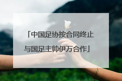 中国足协按合同终止与国足主帅伊万合作