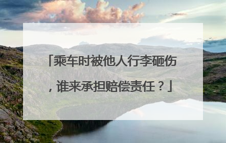 乘车时被他人行李砸伤，谁来承担赔偿责任？