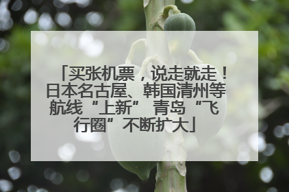 买张机票，说走就走！日本名古屋、韩国清州等航线“上新” 青岛“飞行圈”不断扩大