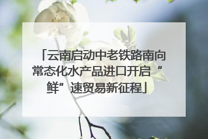 云南启动中老铁路南向常态化水产品进口开启“鲜”速贸易新征程