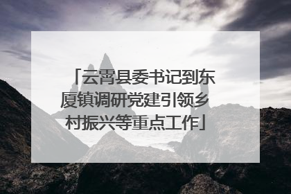 云霄县委书记到东厦镇调研党建引领乡村振兴等重点工作