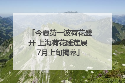 今夏第一波荷花盛开 上海荷花睡莲展7月上旬揭幕