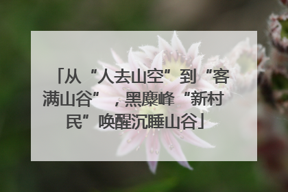 从“人去山空”到“客满山谷”，黑麋峰“新村民”唤醒沉睡山谷