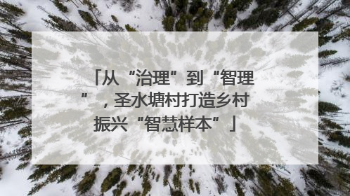 从“治理”到“智理”，圣水塘村打造乡村振兴“智慧样本”