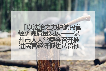以法治之力护航民营经济高质量发展——泉州市人大常委会召开推进民营经济促进法贯彻实施座谈会