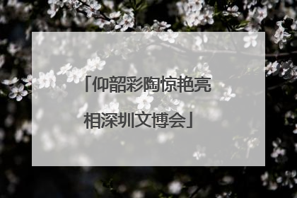 仰韶彩陶惊艳亮相深圳文博会