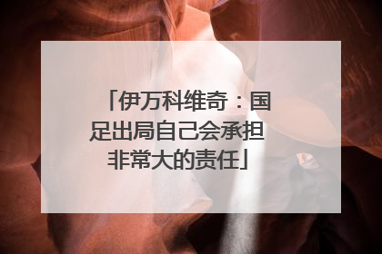 伊万科维奇：国足出局自己会承担非常大的责任