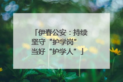伊春公安：持续坚守“护学岗” 当好“护学人”