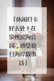 休闲打卡好去处！在泉州滨海公园，感受夏日海岸叙事诗