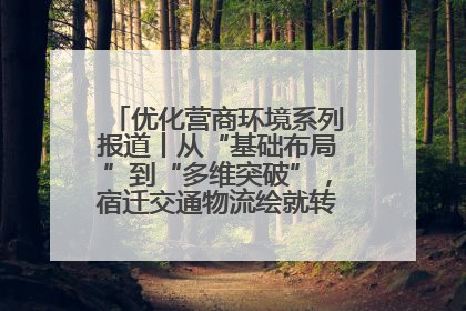优化营商环境系列报道丨从“基础布局”到“多维突破”，宿迁交通物流绘就转型增效新画卷