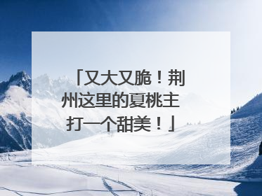 又大又脆！荆州这里的夏桃主打一个甜美！