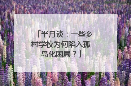 半月谈：一些乡村学校为何陷入孤岛化困局？