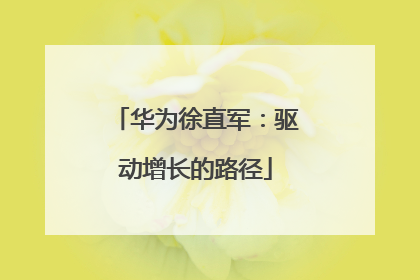 华为徐直军：驱动增长的路径