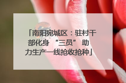 南阳宛城区：驻村干部化身 “三员” 助力生产一线抢收抢种