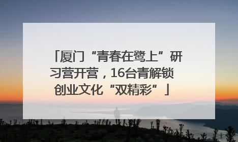 厦门“青春在鹭上”研习营开营，16台青解锁创业文化“双精彩”