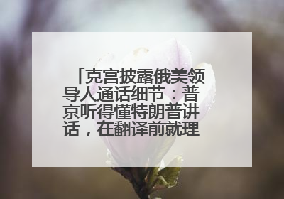 克宫披露俄美领导人通话细节：普京听得懂特朗普讲话，在翻译前就理解了他的意思
