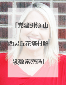 党建引领 山西灵丘花塔村解锁致富密码