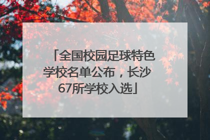 全国校园足球特色学校名单公布，长沙67所学校入选