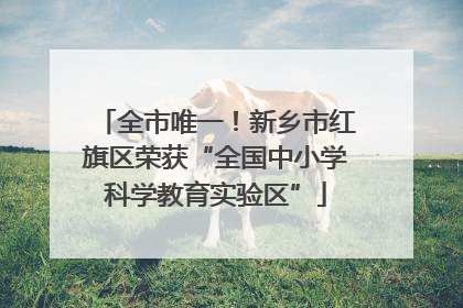 全市唯一！新乡市红旗区荣获“全国中小学科学教育实验区”