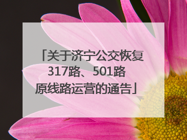 关于济宁公交恢复317路、501路原线路运营的通告