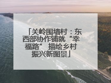 关岭围墙村：东西部协作铺就“幸福路” 描绘乡村振兴新图景