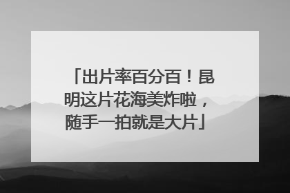 出片率百分百！昆明这片花海美炸啦，随手一拍就是大片