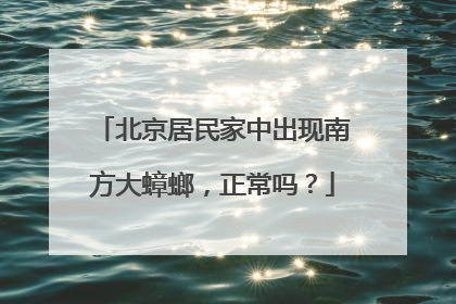 北京居民家中出现南方大蟑螂，正常吗？