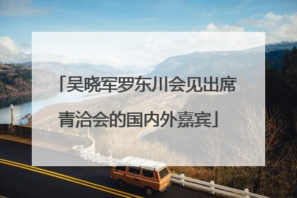 吴晓军罗东川会见出席青洽会的国内外嘉宾