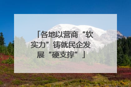 各地以营商“软实力”铸就民企发展“硬支撑”