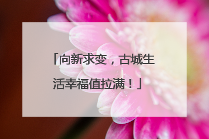 向新求变，古城生活幸福值拉满！