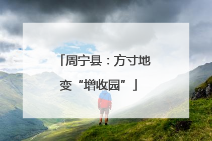 周宁县：方寸地变“增收园”