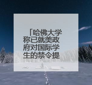 哈佛大学称已就美政府对国际学生的禁令提起诉讼
