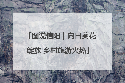 图说信阳｜向日葵花绽放 乡村旅游火热