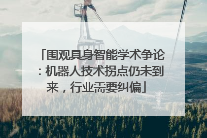 围观具身智能学术争论：机器人技术拐点仍未到来，行业需要纠偏