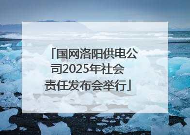 国网洛阳供电公司2025年社会责任发布会举行