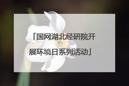 国网湖北经研院开展环境日系列活动