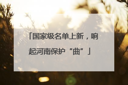 国家级名单上新，响起河南保护“曲”