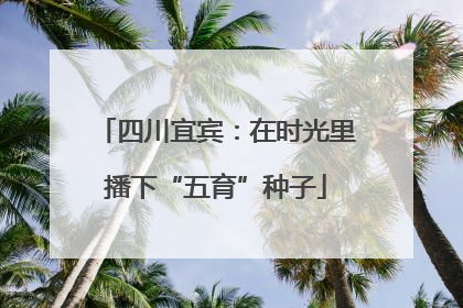 四川宜宾：在时光里播下“五育”种子