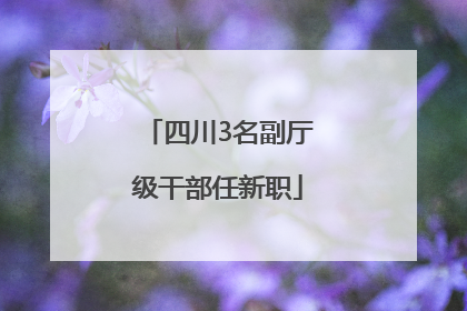 四川3名副厅级干部任新职