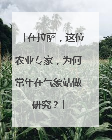 在拉萨，这位农业专家，为何常年在气象站做研究？