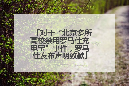 对于“北京多所高校禁用罗马仕充电宝”事件，罗马仕发布声明致歉