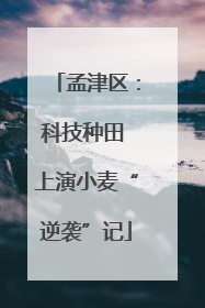 孟津区：科技种田 上演小麦“逆袭”记