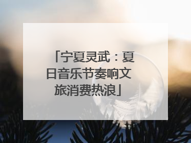 宁夏灵武：夏日音乐节奏响文旅消费热浪