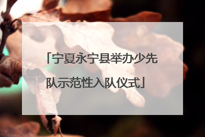 宁夏永宁县举办少先队示范性入队仪式