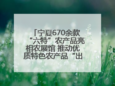 宁夏670余款“六特”农产品亮相农展馆 推动优质特色农产品“出宁进京”