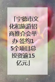 宁德市文化和旅游招商推介会举办 签约15个项目总投资逾15亿元