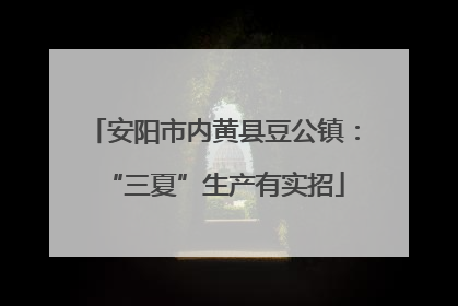 安阳市内黄县豆公镇：“三夏”生产有实招