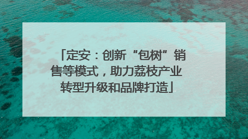 定安：创新“包树”销售等模式，助力荔枝产业转型升级和品牌打造