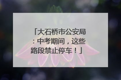 大石桥市公安局：中考期间，这些路段禁止停车！